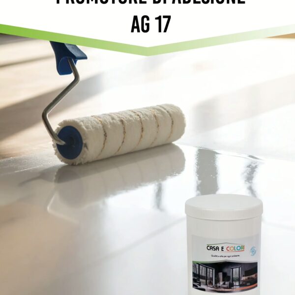 Promotore di adesione AG 17