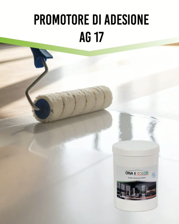 Promotore di adesione AG 17