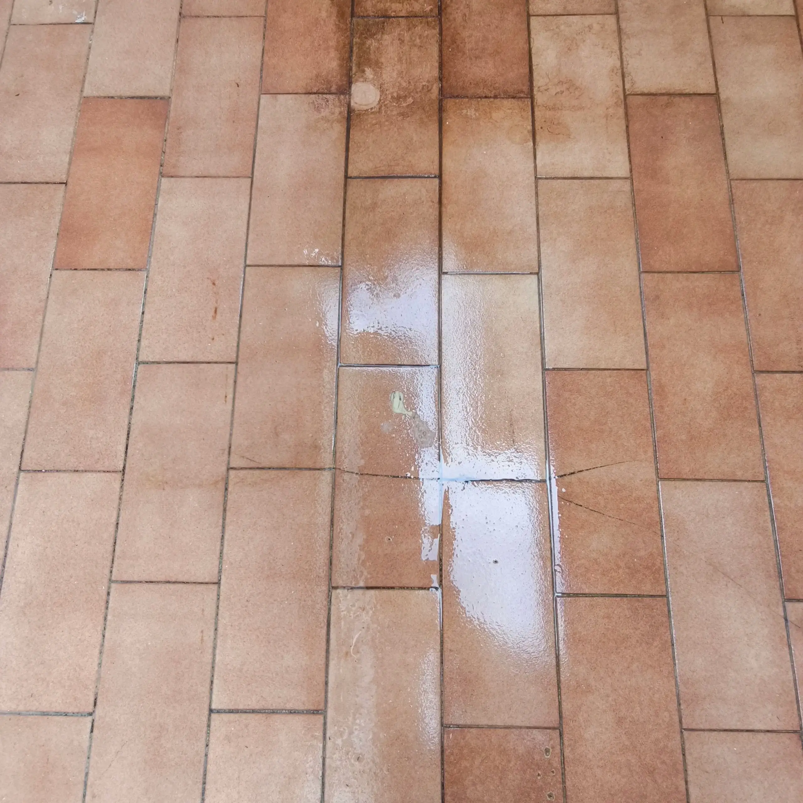 IMG_20250604_115444-scaled